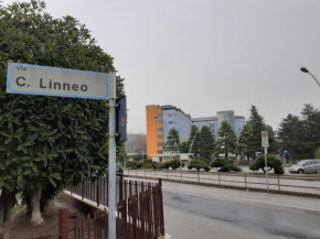 La Residenza di fronte all'Ospedale di Vittorio Veneto via Linneo Vittorio Veneto